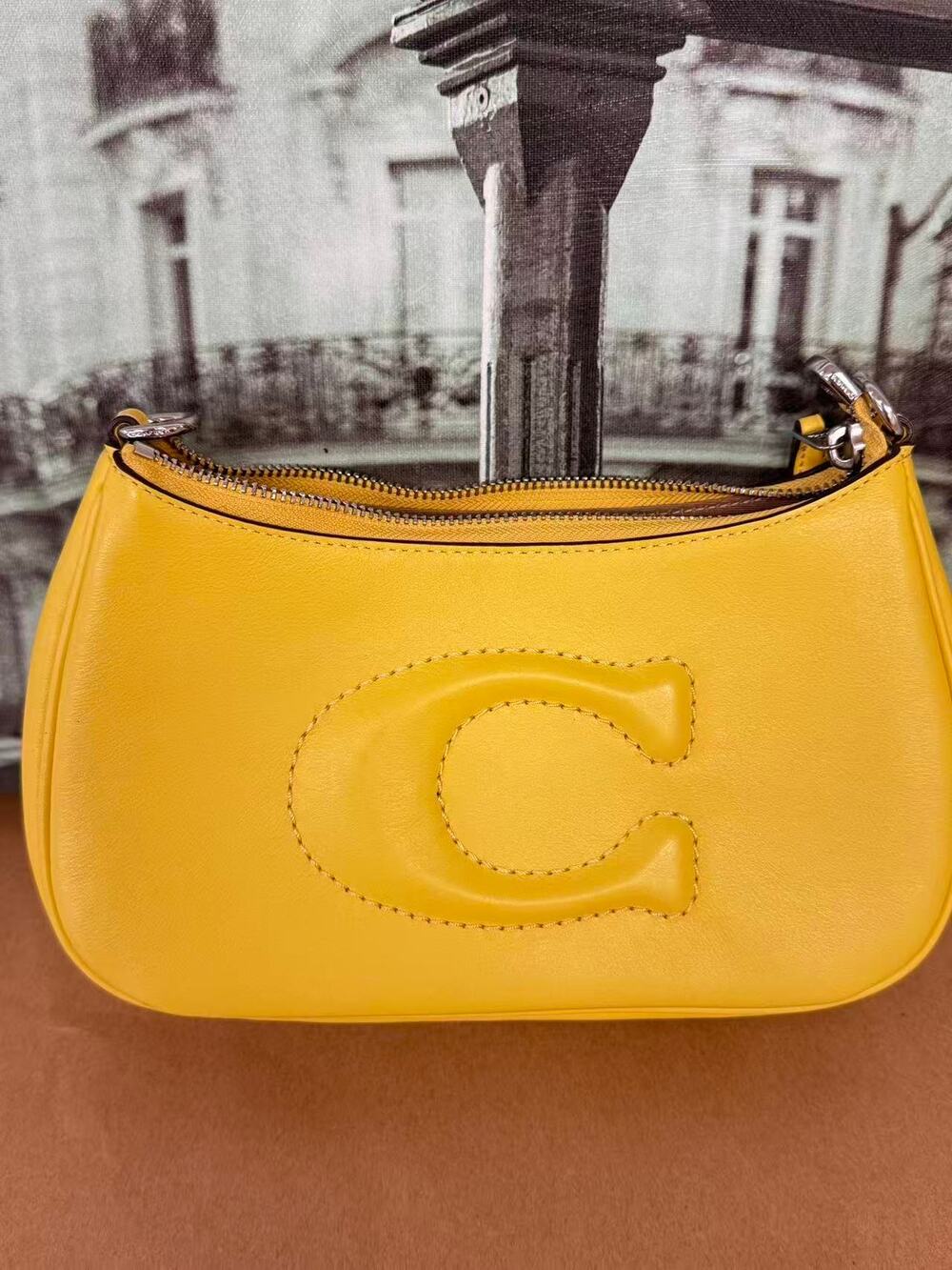 Coach CR099 Teri Shoulder Bag IN Daisy